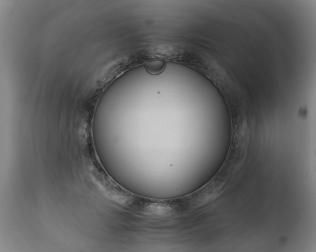 X0000110930749200906251333