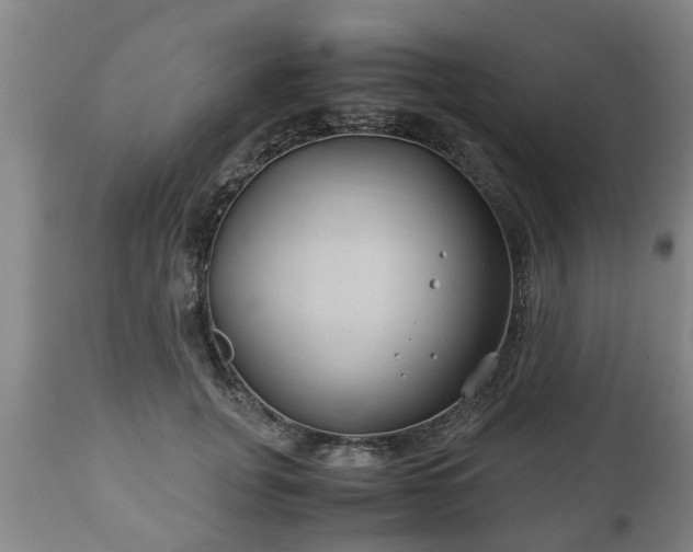 X0000110930751200906251333