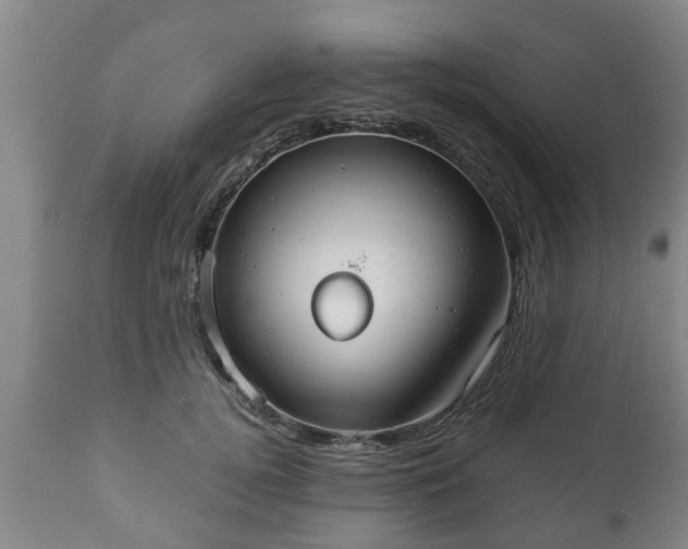 X0000110930752200906251333