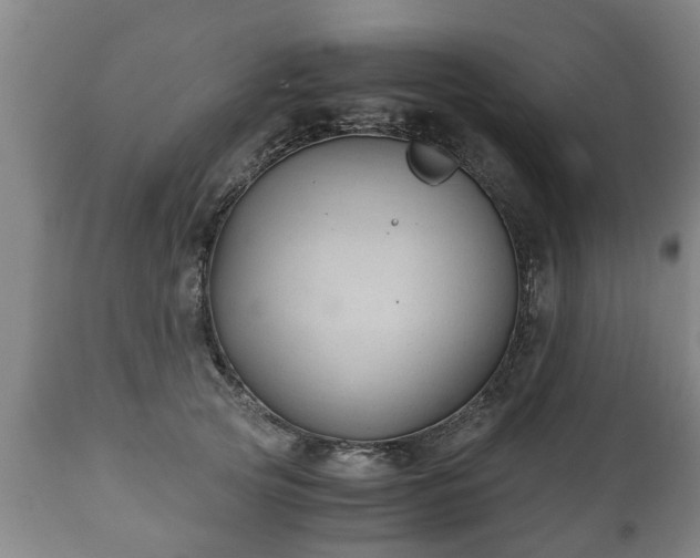 X0000110930753200906251333