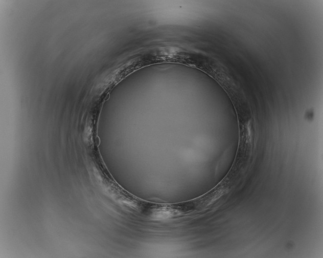 X0000110930754200906251333