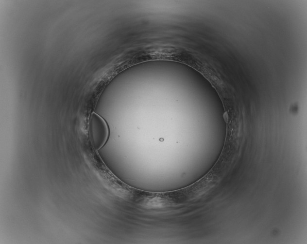 X0000110930755200906251333