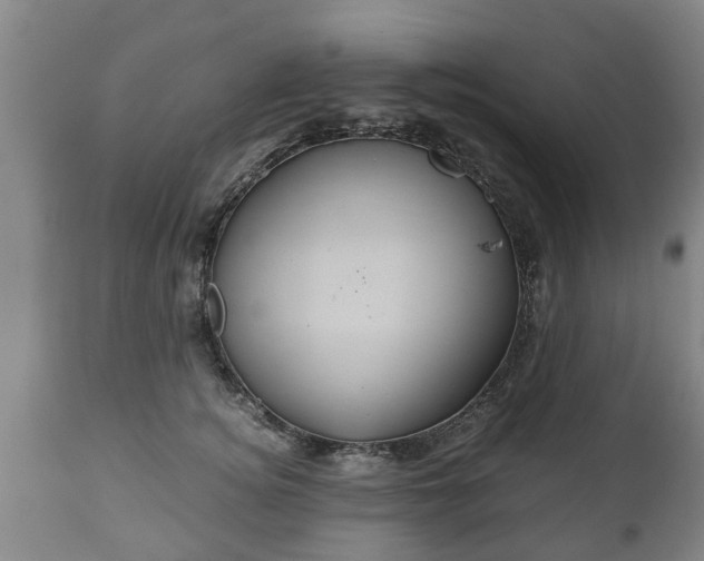 X0000110930756200906251333