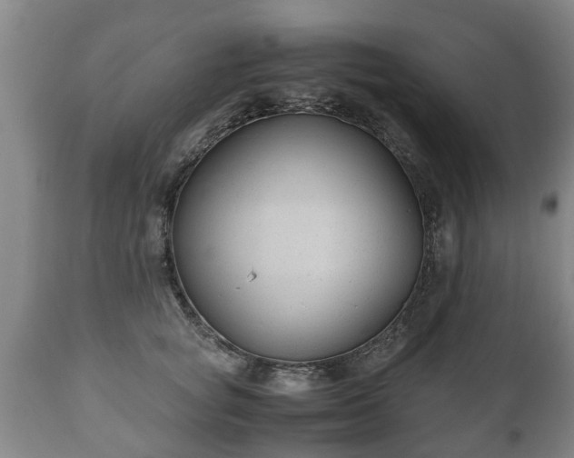 X0000110930757200906251333