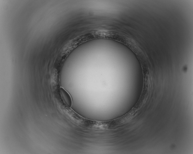 X0000110930760200906251333