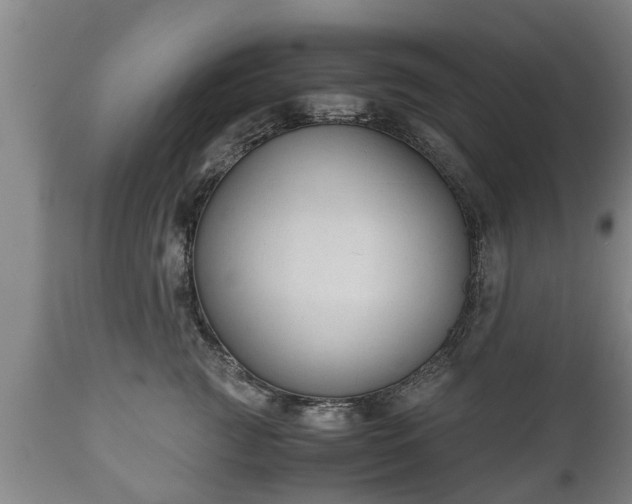 X0000110930761200906251333