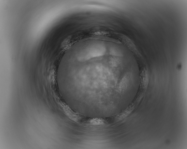 X0000110930762200906251333