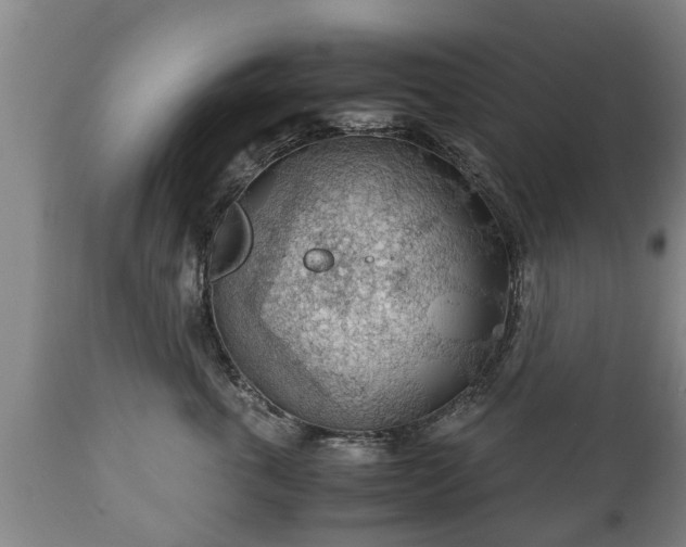 X0000110930763200906251333