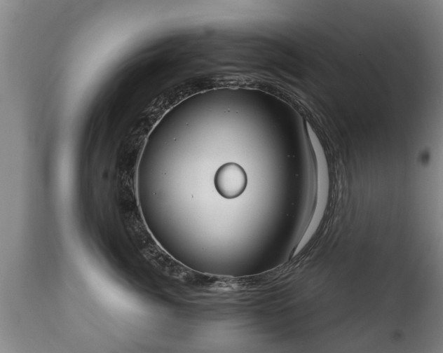 X0000110930764200906251333