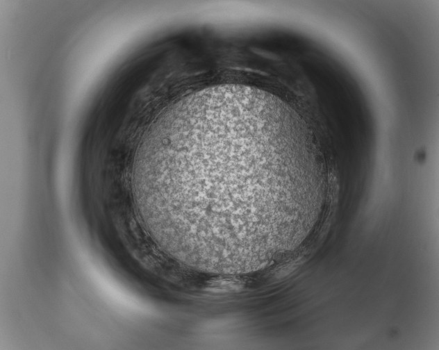 X0000110930765200906251333