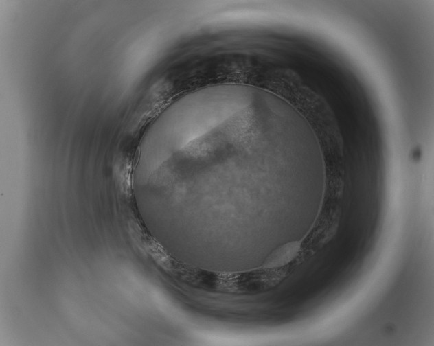 X0000110930766200906251333
