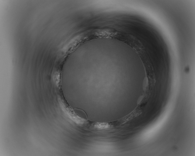 X0000110930767200906251333