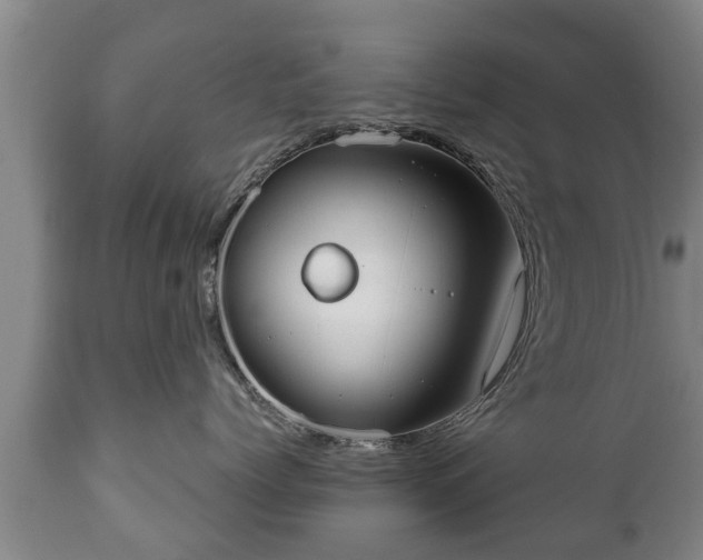 X0000110930768200906251333