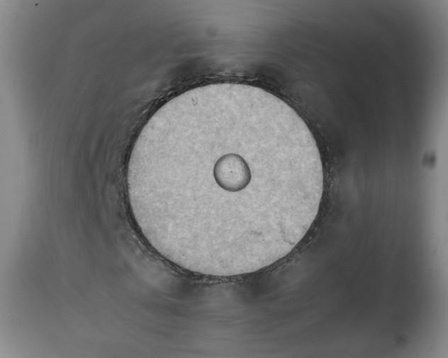 X0000110930769200906251332