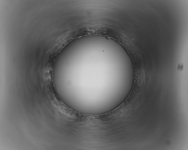 X0000110930770200906251332