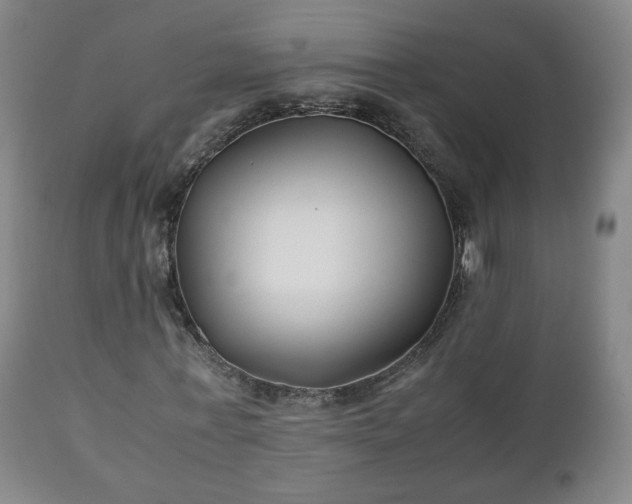 X0000110930771200906251332