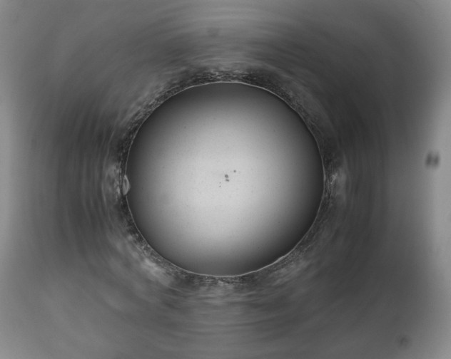 X0000110930772200906251332