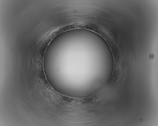 X0000110930773200906251332