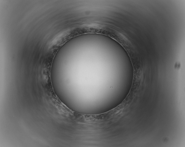 X0000110930774200906251332