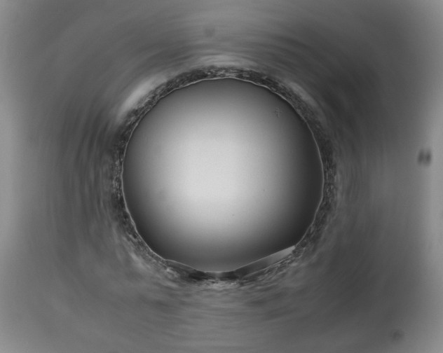 X0000110930775200906251332