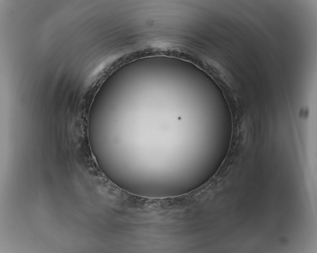 X0000110930776200906251332