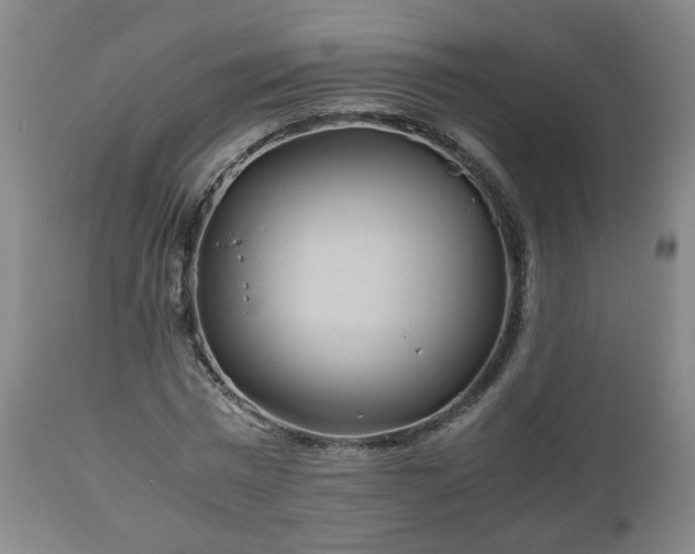 X0000110930777200906251332
