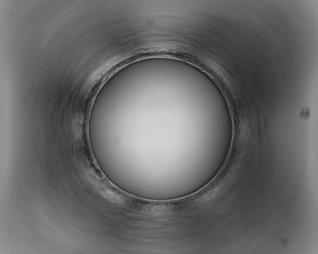 X0000110930778200906251332