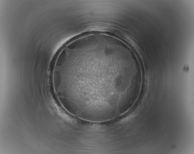 X0000110930779200906251332