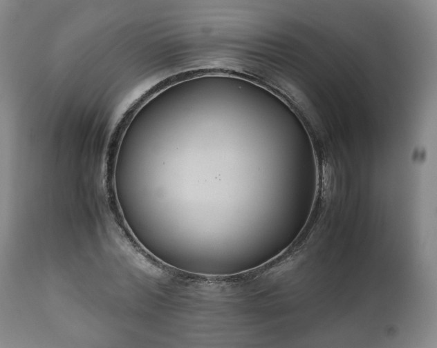 X0000110930780200906251332