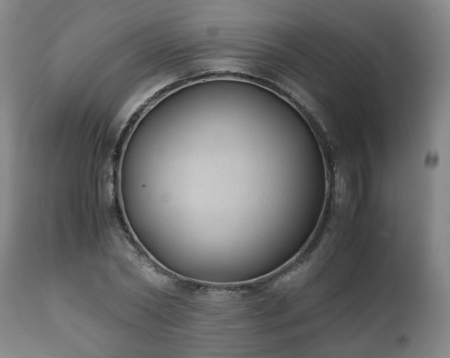 X0000110930782200906251332