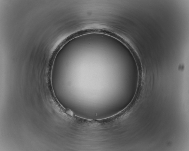 X0000110930783200906251332