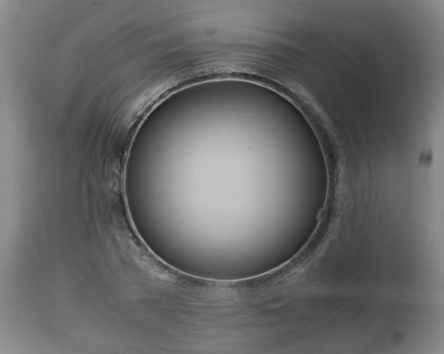 X0000110930785200906251332