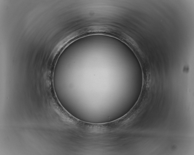 X0000110930786200906251332