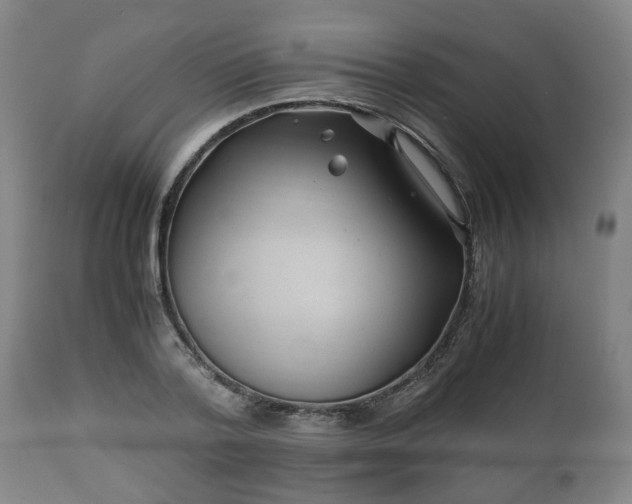 X0000110930788200906251332