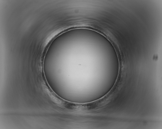 X0000110930789200906251332