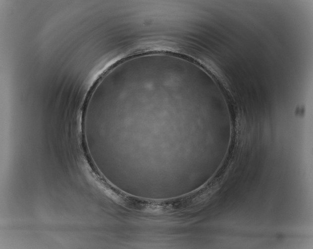 X0000110930790200906251332