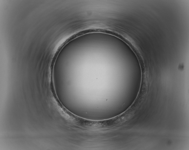 X0000110930791200906251332
