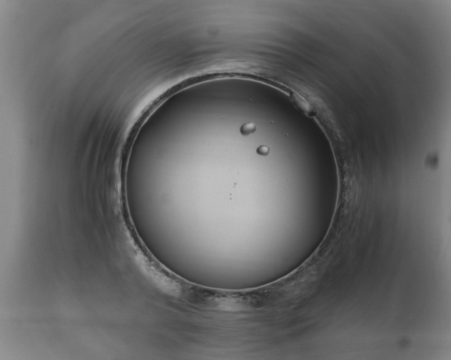 X0000110930792200906251332