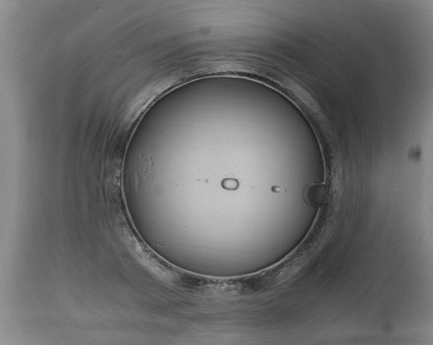 X0000110930793200906251332