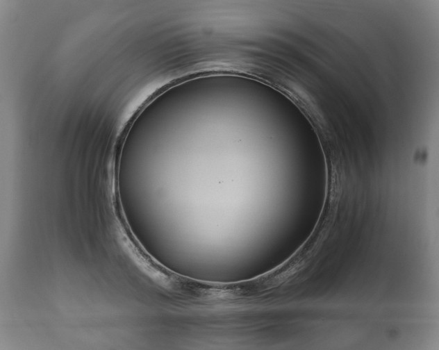 X0000110930796200906251332
