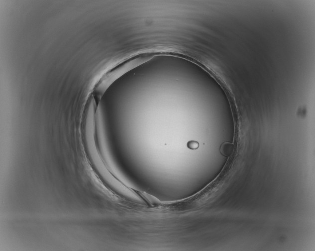 X0000110930797200906251332