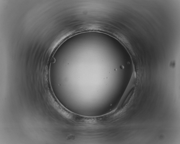X0000110930798200906251332