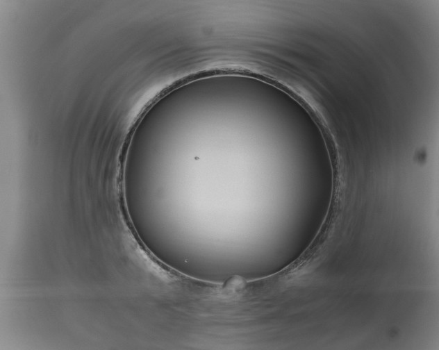 X0000110930799200906251332