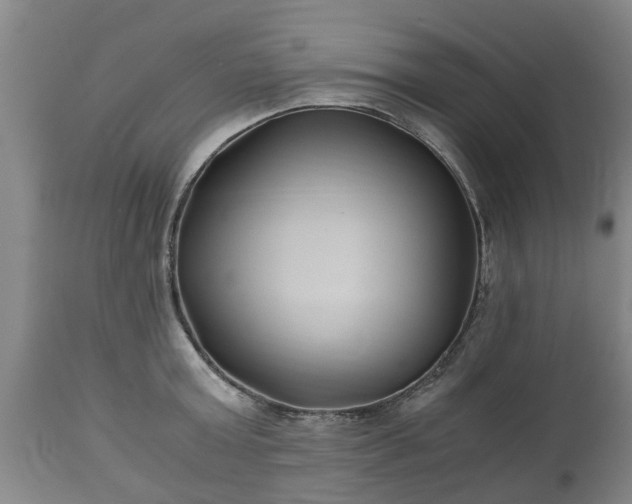 X0000110930803200906251332