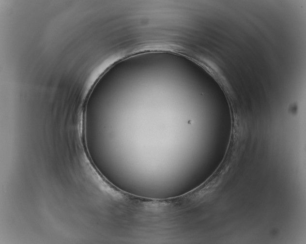 X0000110930804200906251332