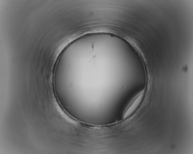 X0000110930805200906251332