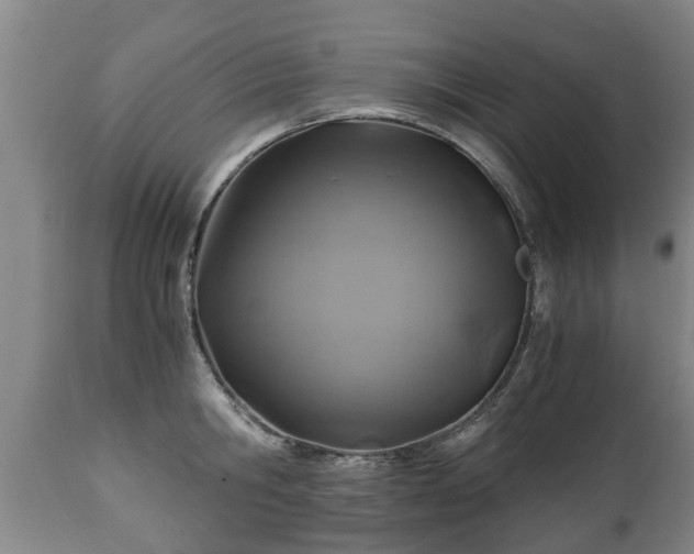 X0000110930806200906251332