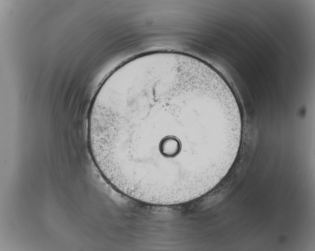 X0000110930807200906251332