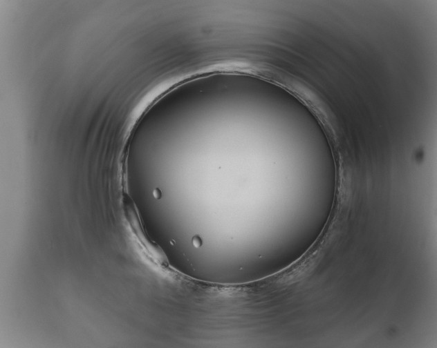 X0000110930808200906251332