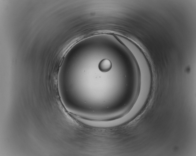 X0000110930809200906251332